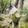 Dog Coats Small Waterproof,Warm Outfit Clothes Dog Jackets Small,Adjustable Drawstring Warm And Cozy Dog Sport Vest-(Green size M)