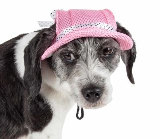 Pet Life 'Sea Spot Sun' Uv Protectant Adjustable Fashion Mesh Brimmed Dog Hat Cap (Color: Pink)