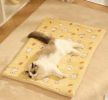 Pet Blanket Dog Cat Bed Winter Warm Mat Four Seasons Universal Blanket